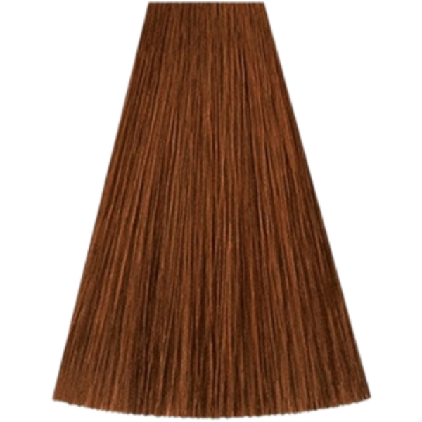 צבע/שטיפה לשיער - צבע שיער גוון 8/41 LIGHT BLONDE RED ASH קאדוס KADUS צבע לשיער 60 גרם מאת קאדוס KADUS | | אידיאלית ל- צבע שיער קאדוס KADUS קאדוס | מושלמת ל- {{ product_use_case }}