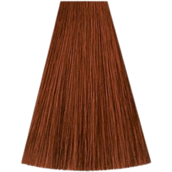 צבע/שטיפה לשיער - צבע שיער גוון 6/4 DARK BLONDE RED קאדוס KADUS צבע לשיער 60 גרם מאת קאדוס KADUS | | אידיאלית ל- צבע שיער קאדוס KADUS קאדוס | מושלמת ל- {{ product_use_case }}