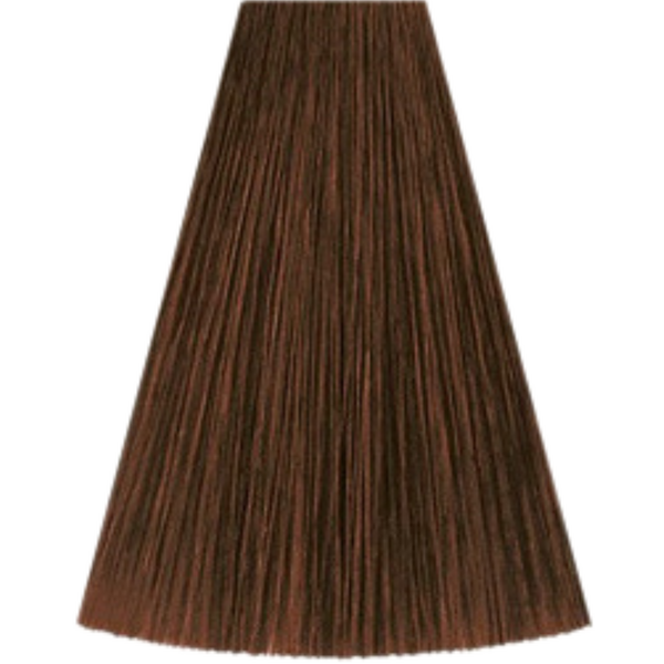 צבעים לשיער - צבע שיער גוון 5/37 LIGHT BROWM GOLD BRUNETTE קאדוס KADUS צבע לשיער 60 גרם מאת קאדוס KADUS | | אידיאלית ל- צבע שיער קאדוס KADUS קאדוס | מושלמת ל- {{ product_use_case }}