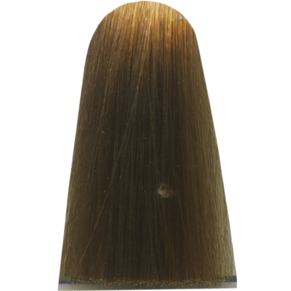 צבע/שטיפה לשיער - צבע שיער 9,0 FUNDAMENTAL DEEP VERY LIGHT BLOND מג`ירל MAJIREL לוריאל צבע לשיער 50 גרם מאת לוריאל LOREAL | | אידיאלית ל- X לוריאל צבע שיער מגירל MAJIREL לוריאל LOREAL | מושלמת ל- {{ product_use_case }}