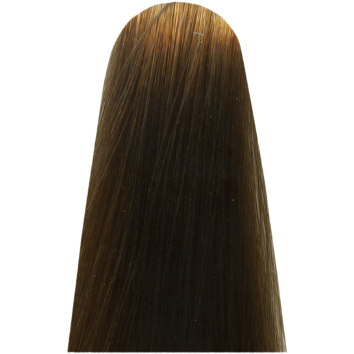 צבעים לשיער צבע שיער 8 FUNDAMENTAL LIGHT BLOND מג`ירל MAJIREL לוריאל צבע לשיער 50 גרם לוריאל LOREAL X לוריאל צבע שיער מגירל MAJIREL לוריאל LOREAL