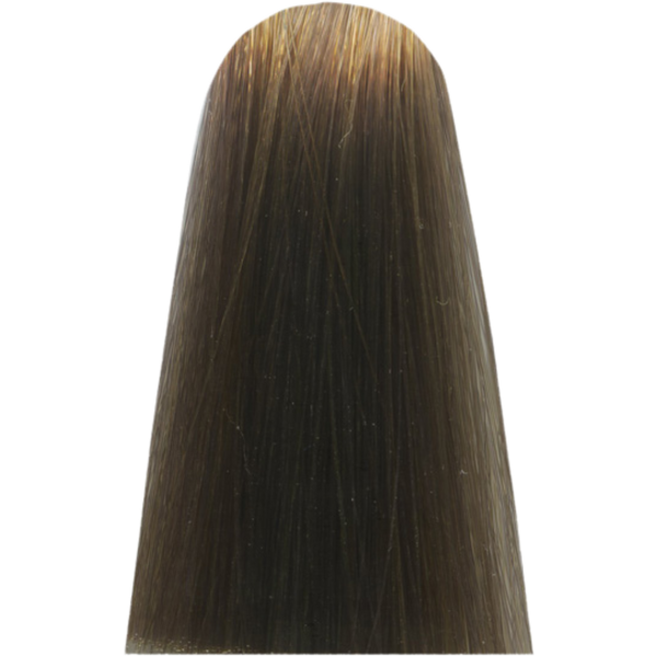 צבע/שטיפה לשיער - צבע שיער 9,1 VERY LIGHT ASH BLOND COOL INFORCED מג`ירל MAJIREL לוריאל צבע לשיער 50 גרם מאת לוריאל LOREAL | | אידיאלית ל- X לוריאל צבע שיער מגירל MAJIREL לוריאל LOREAL | מושלמת ל- {{ product_use_case }}