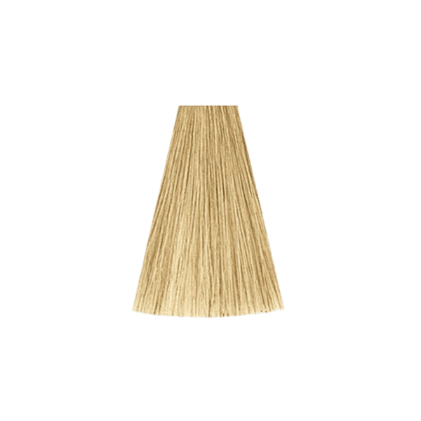 צבע לשיער - צבע שיער 12/0 SPECIAL BLONDE NATURAL קאדוס KADUS צבע לשיער 60 גרם מאת קאדוס KADUS | | אידיאלית ל- צבע שיער קאדוס KADUS קאדוס | מושלמת ל- {{ product_use_case }}