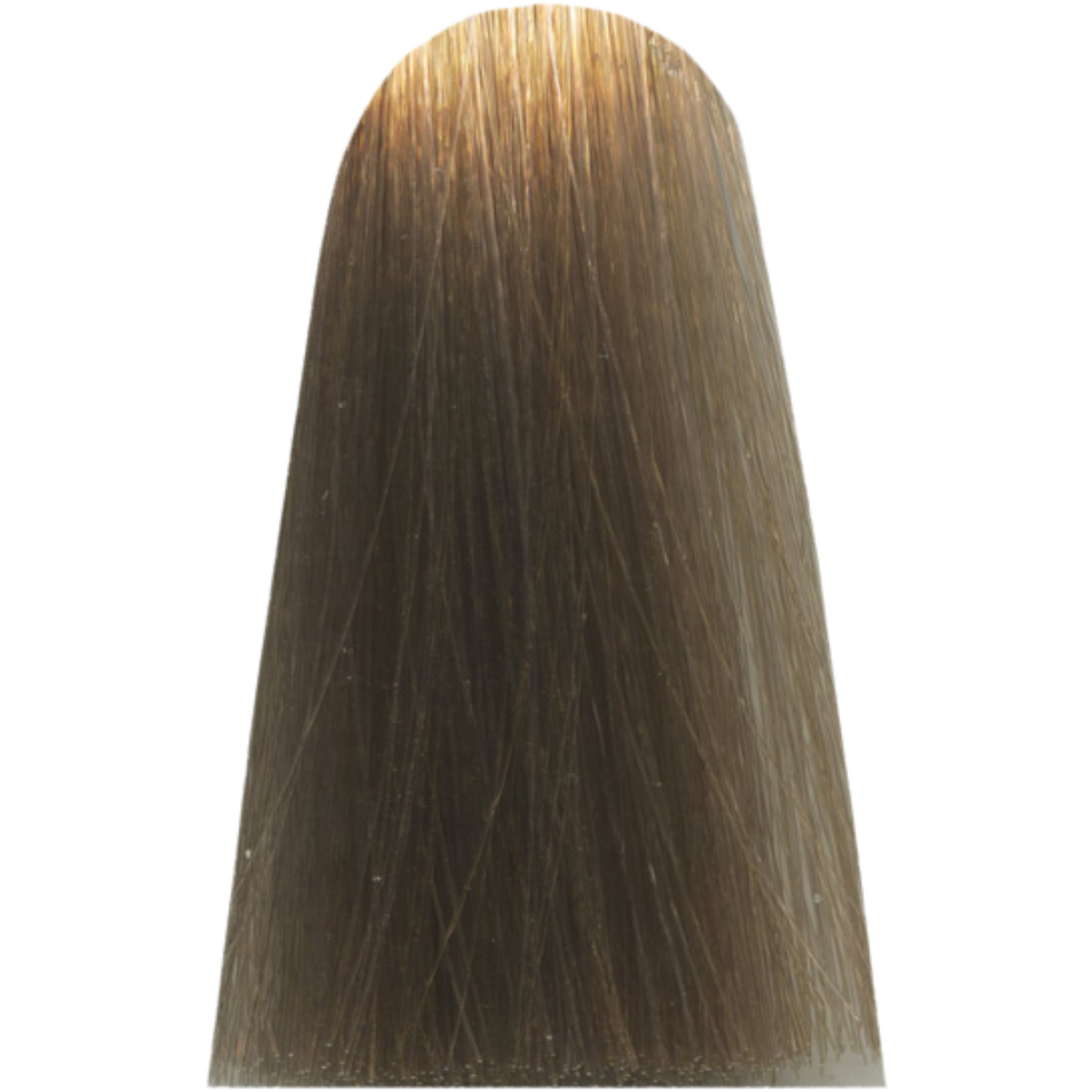 צבע לשיער - צבע שיער 10,1 MAJIREL LIGHTEST ASH BLOND מג`ירל לוריאל צבע לשיער 50 גרם מאת לוריאל LOREAL | | אידיאלית ל- X לוריאל צבע שיער מגירל MAJIREL לוריאל LOREAL | מושלמת ל- {{ product_use_case }}