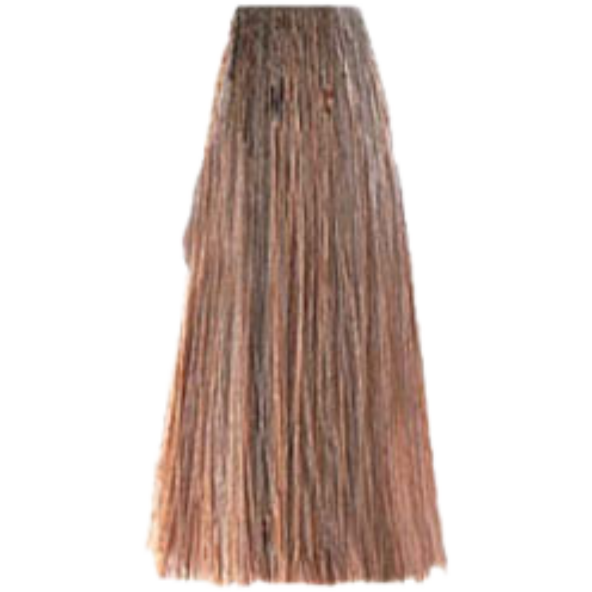 צבע לשיער - צבע שיער 8.03 WARM LIGHT BLONDE פארמויטה FarmaVita צבע לשיער 100 גרם מאת פארמהויטה FARMAVITA | | אידיאלית ל- פארמהויטה צבע שיער פארמהויטה LIFE COLOR PLUS | מושלמת ל- {{ product_use_case }}