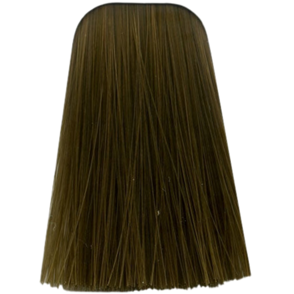 צבע לשיער - צבע לשיער 7-450 MEDIUM BLONDE BEIGE GOLD איגורה IGORA שוורצקופף 60 גרם מאת שוורצקופף SCHWARZKOPF | | אידיאלית ל- צבע שיער איגורה IGORA שוורצקופף SCHWARZKOPF שוורצקופף | מושלמת ל- {{ product_use_case }}