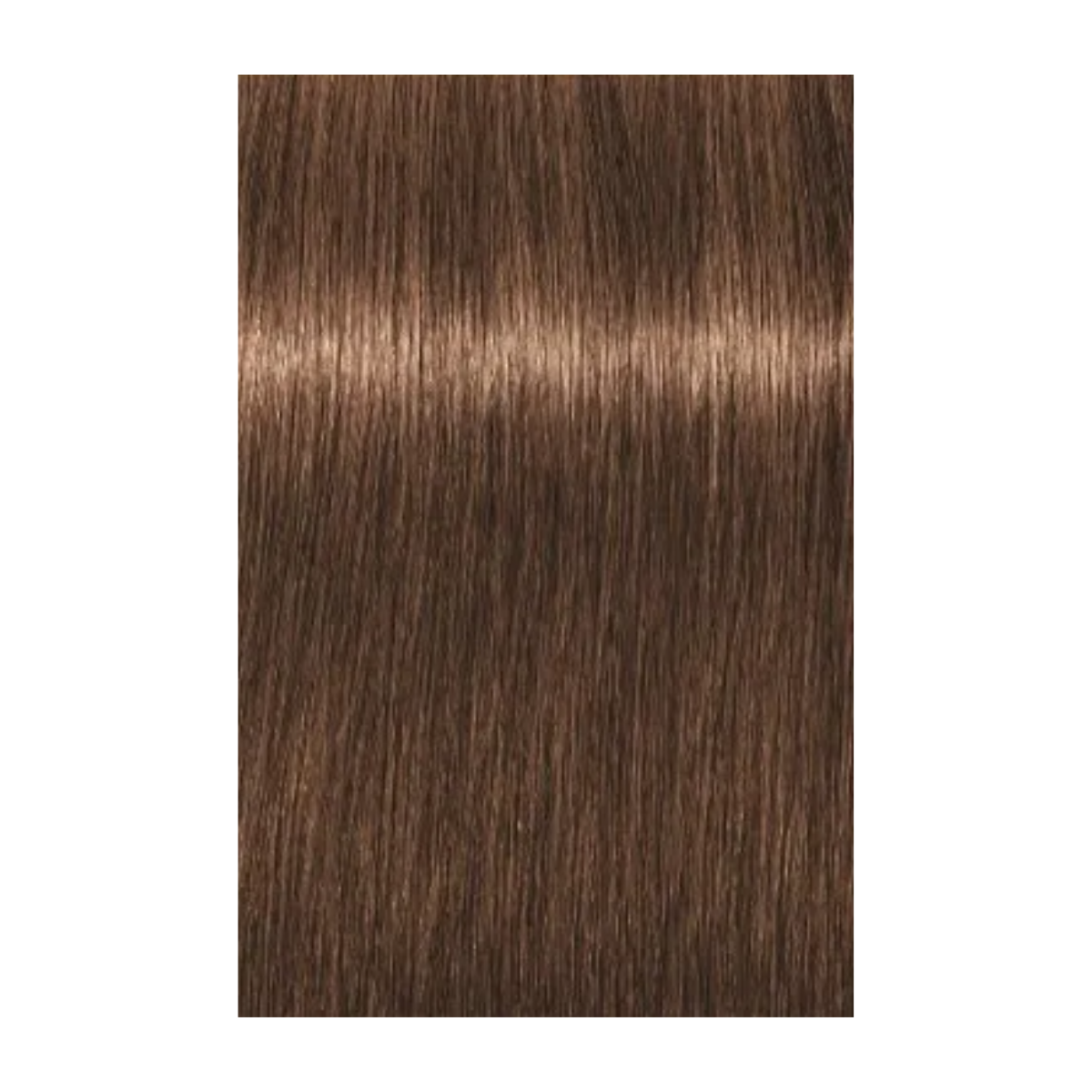 צבע לשיער - צבע לשיער 6-65 dark blonde chocolate gold איגורה IGORA שוורצקופף 60 גרם מאת שוורצקופף SCHWARZKOPF | | אידיאלית ל- צבע שיער איגורה IGORA שוורצקופף SCHWARZKOPF שוורצקופף | מושלמת ל- {{ product_use_case }}