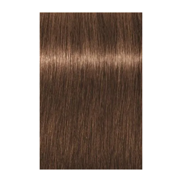 צבע לשיער - צבע לשיער 6-65 dark blonde chocolate gold איגורה IGORA שוורצקופף 60 גרם מאת שוורצקופף SCHWARZKOPF | | אידיאלית ל- צבע שיער איגורה IGORA שוורצקופף SCHWARZKOPF שוורצקופף | מושלמת ל- {{ product_use_case }}