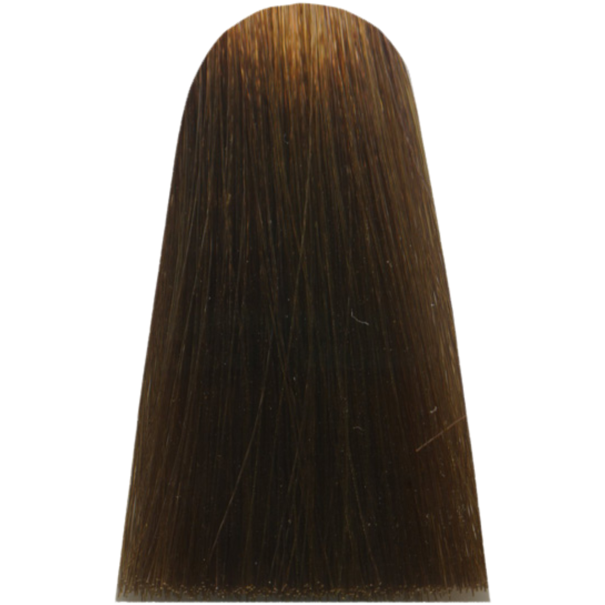 צבע/שטיפה לשיער - צבע שיער 7,31 GOLDEN ASH BLOND מג`ירל MAJIREL לוריאל צבע לשיער 50 גרם מאת לוריאל LOREAL | | אידיאלית ל- X לוריאל צבע שיער מגירל MAJIREL לוריאל LOREAL | מושלמת ל- {{ product_use_case }}