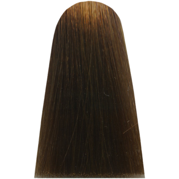 צבע/שטיפה לשיער - צבע שיער 7,31 GOLDEN ASH BLOND מג`ירל MAJIREL לוריאל צבע לשיער 50 גרם מאת לוריאל LOREAL | | אידיאלית ל- X לוריאל צבע שיער מגירל MAJIREL לוריאל LOREAL | מושלמת ל- {{ product_use_case }}