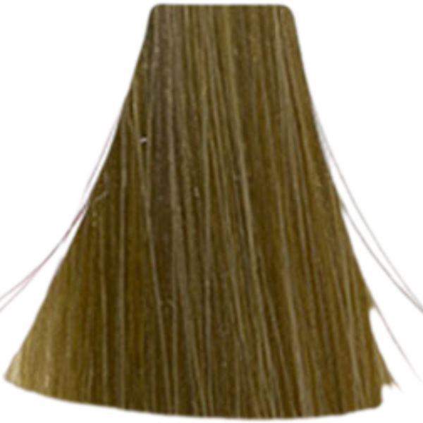 צבעים לשיער צבע שיער 9.13 Cool Brown / Cool Beige אינואה INOA לוריאל 60 גרם לוריאל LOREAL X לוריאל צבע שיער אינואה לוריאל INOA LOREAL