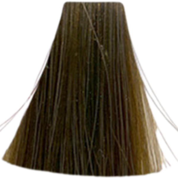 צבע/שטיפה לשיער - צבע שיער 8.23 Cool Brown / Cool Beige אינואה INOA לוריאל 60 גרם מאת לוריאל LOREAL | | אידיאלית ל- X לוריאל צבע שיער אינואה לוריאל INOA LOREAL | מושלמת ל- {{ product_use_case }}