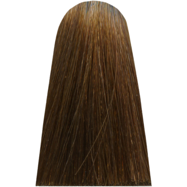 צבע/שטיפה לשיער - צבע שיער 8,8 LIGHT MOCHA BLOND מג`ירל MAJIREL לוריאל צבע לשיער 50 גרם מאת לוריאל LOREAL | | אידיאלית ל- X לוריאל צבע שיער מגירל MAJIREL לוריאל LOREAL | מושלמת ל- {{ product_use_case }}