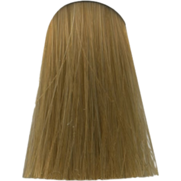צבע לשיער - צבע לשיער גוון 1000.38 HIGHLIFT BLOND GOLD CHOCOLATE אינדולה INDOLA צבע לשיער 60גרם מאת אינדולה INDOLA | | אידיאלית ל- אינדולה צבע שיער אינדולה INDOLA | מושלמת ל- {{ product_use_case }}
