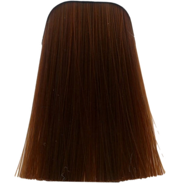 צבע לשיער - צבע לשיער 7-77 MEDIUM BLONDE COPPER EXTRA איגורה IGORA שוורצקופף 60 גרם מאת שוורצקופף SCHWARZKOPF | | אידיאלית ל- צבע שיער איגורה IGORA שוורצקופף SCHWARZKOPF שוורצקופף | מושלמת ל- {{ product_use_case }}