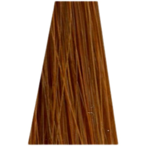צבע לשיער - צבע שיער ללא אמוניה 7-77 MIDDLE BLOND COPPER EXTRA זירו אמוניה ZERO AMM שוורצקופף 60 גרם מאת שוורצקופף SCHWARZKOPF | | אידיאלית ל- צבע שיער ללא אמוניה אסנסיטי ESSENSITY שוורצקופף SCHWARZKOPF שוורצקופף | מושלמת ל- {{ product_use_case }}