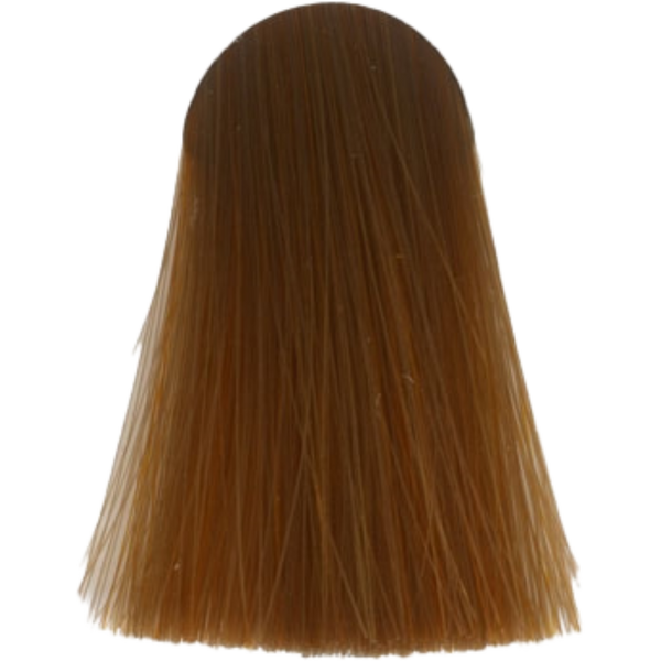 שטיפה לשיער - צבע לשיער גוון P.14 גוון 14 PASTEL PEACH אינדולה INDOLA צבע לשיער 60 גרם מאת אינדולה INDOLA | | אידיאלית ל- אינדולה צבע שיער אינדולה INDOLA | מושלמת ל- {{ product_use_case }}