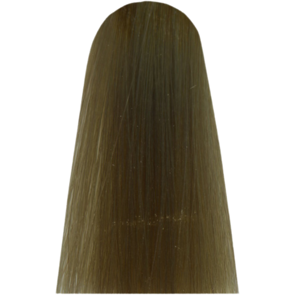 צבע/שטיפה לשיער - צבע שיער בלונד בז` HL BEIGE חום קריר COOL BROWN מג`ירל MAJIREL HIGH LIFT לוריאל מאת לוריאל LOREAL | | אידיאלית ל- X לוריאל צבע שיער מגירל MAJIREL לוריאל LOREAL | מושלמת ל- {{ product_use_case }}