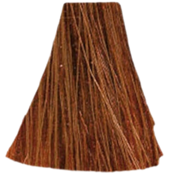 צבעים לשיער צבע שיער 7.35 Warm Brown / Warm Beige אינואה INOA לוריאל 60 גרם לוריאל LOREAL X לוריאל צבע שיער אינואה לוריאל INOA LOREAL