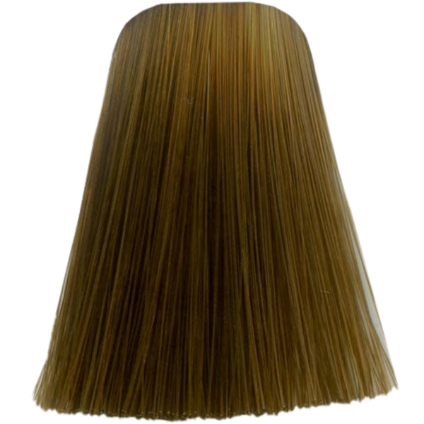 צבע לשיער - צבע לשיער 8-46 LIGHT BLONDE BEIGE CHOCOLATE איגורה IGORA שוורצקופף 60 גרם מאת שוורצקופף SCHWARZKOPF | | אידיאלית ל- צבע שיער איגורה IGORA שוורצקופף SCHWARZKOPF שוורצקופף | מושלמת ל- {{ product_use_case }}