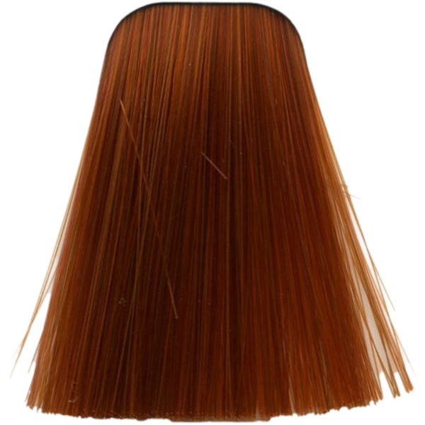 צבע לשיער - צבע לשיער 8-77 LIGHT BLONDE COPPER EXTRA איגורה IGORA שוורצקופף 60 גרם מאת שוורצקופף SCHWARZKOPF | | אידיאלית ל- צבע שיער איגורה IGORA שוורצקופף SCHWARZKOPF שוורצקופף | מושלמת ל- {{ product_use_case }}
