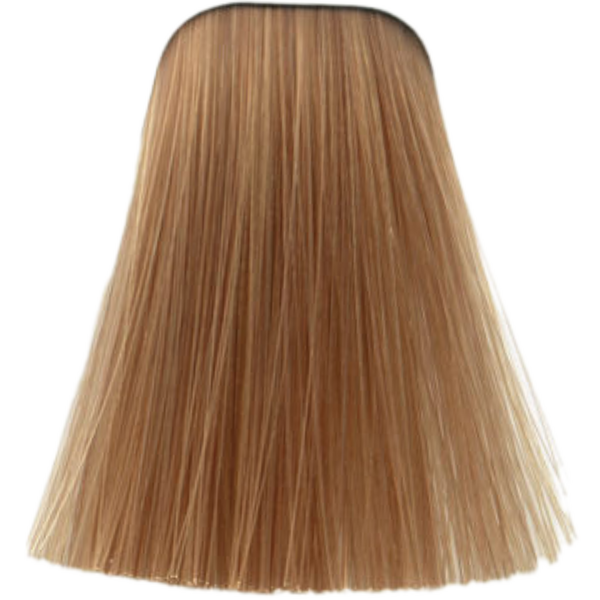 צבע לשיער - צבע לשיער 9,5-49 PASTEL NUDE איגורה IGORA שוורצקופף 60 גרם מאת שוורצקופף SCHWARZKOPF | | אידיאלית ל- צבע שיער איגורה IGORA שוורצקופף SCHWARZKOPF שוורצקופף | מושלמת ל- {{ product_use_case }}