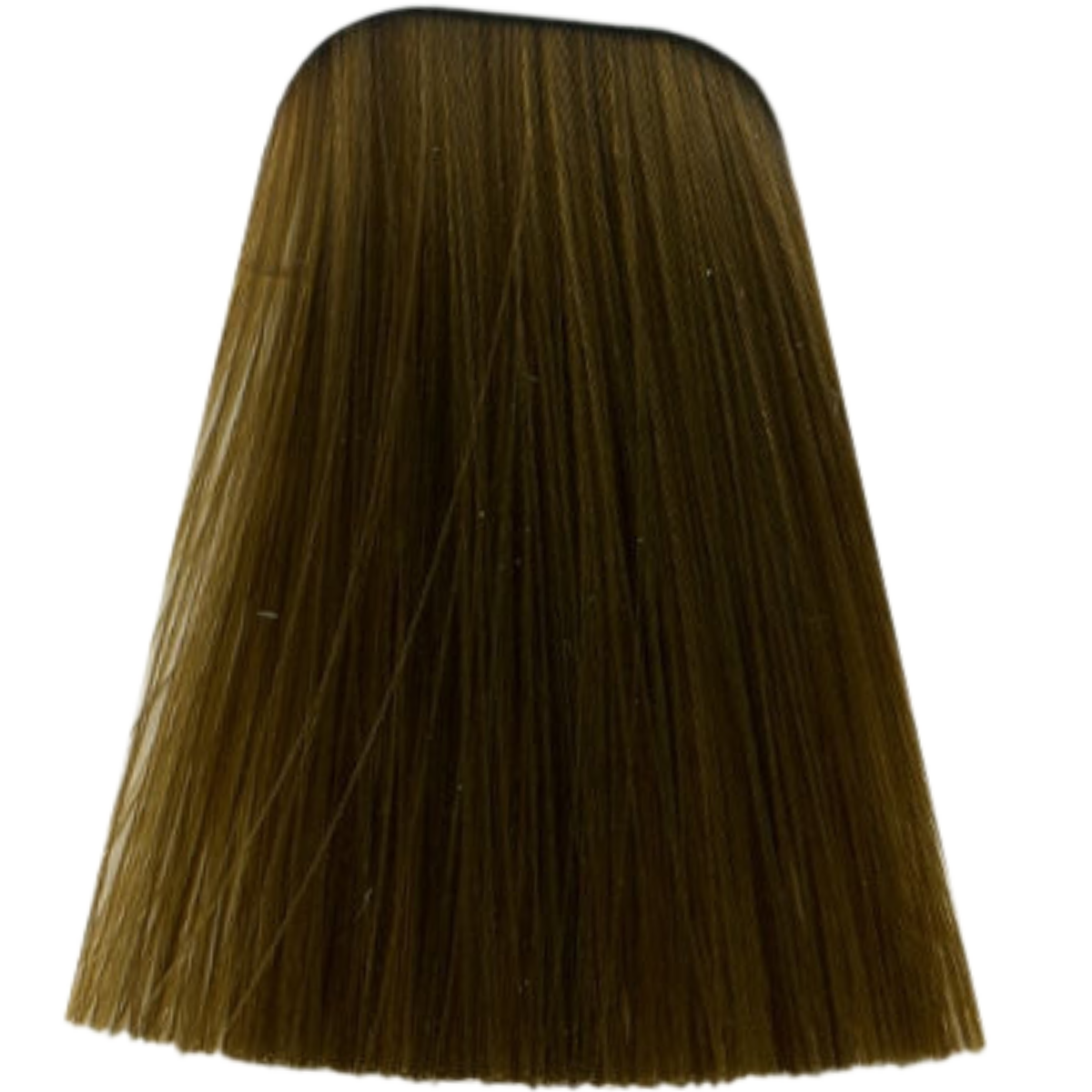 צבע לשיער - צבע לשיער 9-560 EXTRA LIGHT BLONDE GOLD CHOCOLATE איגורה IGORA שוורצקופף 60 גרם מאת שוורצקופף SCHWARZKOPF | | אידיאלית ל- צבע שיער איגורה IGORA שוורצקופף SCHWARZKOPF שוורצקופף | מושלמת ל- {{ product_use_case }}