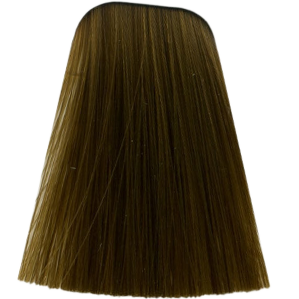 צבע לשיער - צבע לשיער 9-560 EXTRA LIGHT BLONDE GOLD CHOCOLATE איגורה IGORA שוורצקופף 60 גרם מאת שוורצקופף SCHWARZKOPF | | אידיאלית ל- צבע שיער איגורה IGORA שוורצקופף SCHWARZKOPF שוורצקופף | מושלמת ל- {{ product_use_case }}