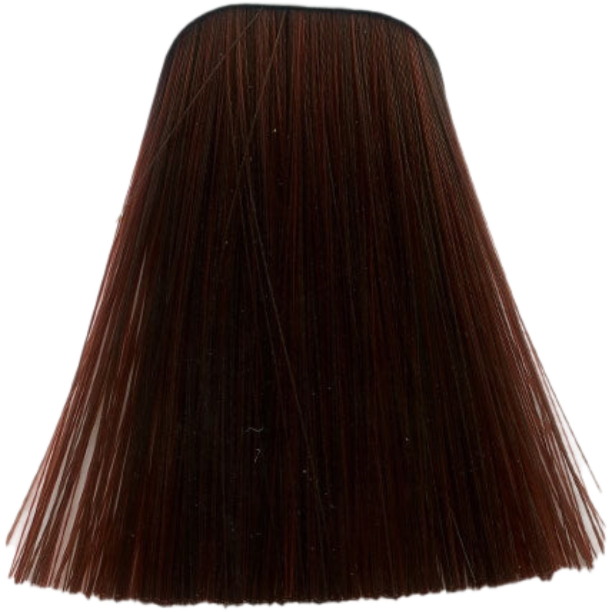 צבע לשיער - צבע לשיער 6-80 MEDIUM BLONDE BEIGE COPPER NATURAL איגורה IGORA שוורצקופף מאת שוורצקופף SCHWARZKOPF | | אידיאלית ל- צבע שיער איגורה IGORA שוורצקופף SCHWARZKOPF שוורצקופף | מושלמת ל- {{ product_use_case }}