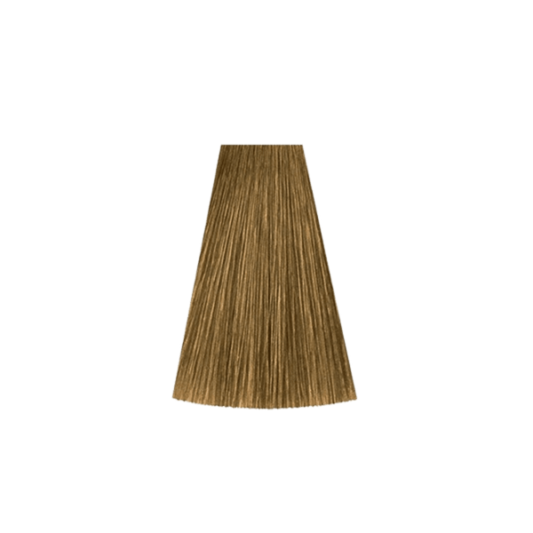 צבע לשיער - צבע שיער /8 NATURAL LIGHT BLONDE קאדוס KADUS צבע לשיער 60 גרם מאת קאדוס KADUS | | אידיאלית ל- צבע שיער קאדוס KADUS קאדוס | מושלמת ל- {{ product_use_case }}