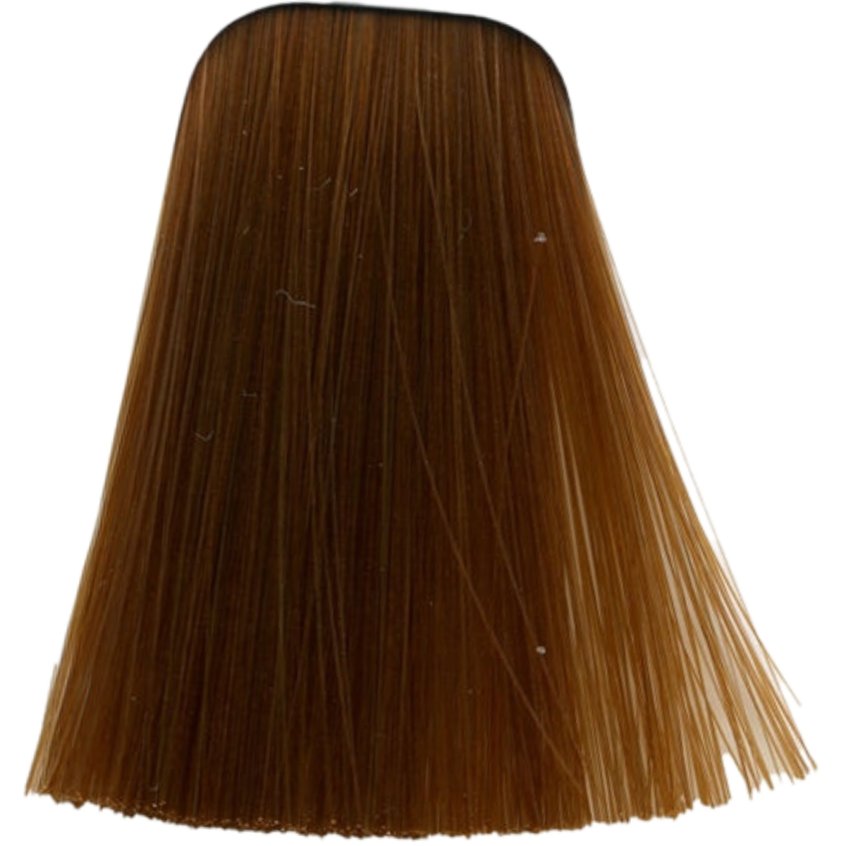 צבע לשיער - צבע לשיער 9-7 EXTRA LIGHT BLONDE COPPER איגורה IGORA שוורצקופף 60 גרם מאת שוורצקופף SCHWARZKOPF | | אידיאלית ל- צבע שיער איגורה IGORA שוורצקופף SCHWARZKOPF שוורצקופף | מושלמת ל- {{ product_use_case }}