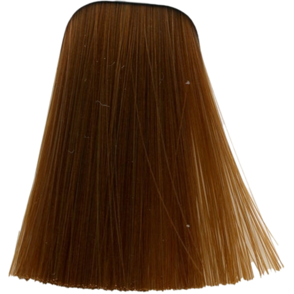 צבע לשיער - צבע לשיער 9-7 EXTRA LIGHT BLONDE COPPER איגורה IGORA שוורצקופף 60 גרם מאת שוורצקופף SCHWARZKOPF | | אידיאלית ל- צבע שיער איגורה IGORA שוורצקופף SCHWARZKOPF שוורצקופף | מושלמת ל- {{ product_use_case }}
