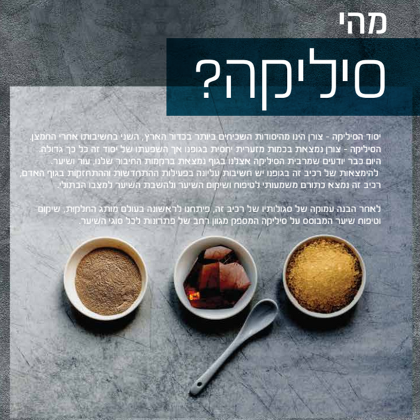 מארזי שי - ערכת מוצרים לשיקום השיער לאחר החלקה SILICA שמפו+מסכה+סרום+מברשת סיליקה מאת סיליקה SILICA | | אידיאלית ל- מארזי שי סיליקה | מושלמת ל- {{ product_use_case }}