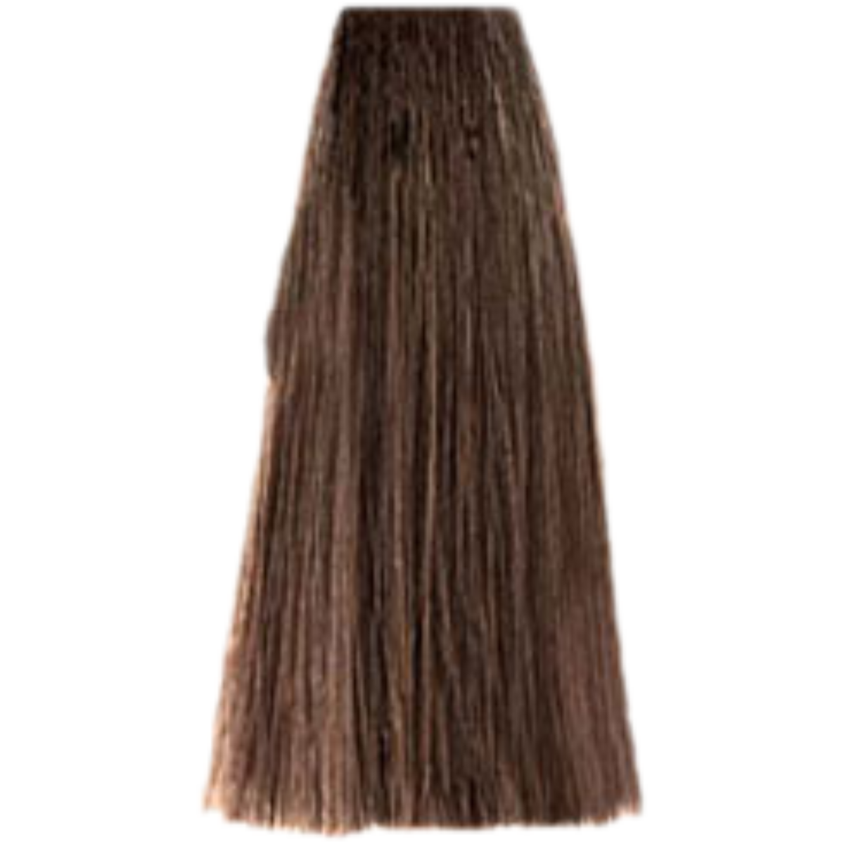 צבע לשיער - צבע שיער 5.31 LIGHT GOLDEN ASH BROWN פארמויטה FarmaVita צבע לשיער 100 גרם מאת פארמהויטה FARMAVITA | | אידיאלית ל- פארמהויטה צבע שיער פארמהויטה LIFE COLOR PLUS | מושלמת ל- {{ product_use_case }}