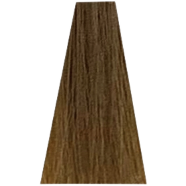 שטיפה לשיער - צבע שיער 8.31 WARM BLONDES דיה רישס לוריאל DIA RICHESSE LOREAL צבע שטיפה לשיער מאת לוריאל LOREAL | | אידיאלית ל- X לוריאל שטיפה לשיער דיה רישס לוריאל DIA RICHESSE LOREAL | מושלמת ל- {{ product_use_case }}